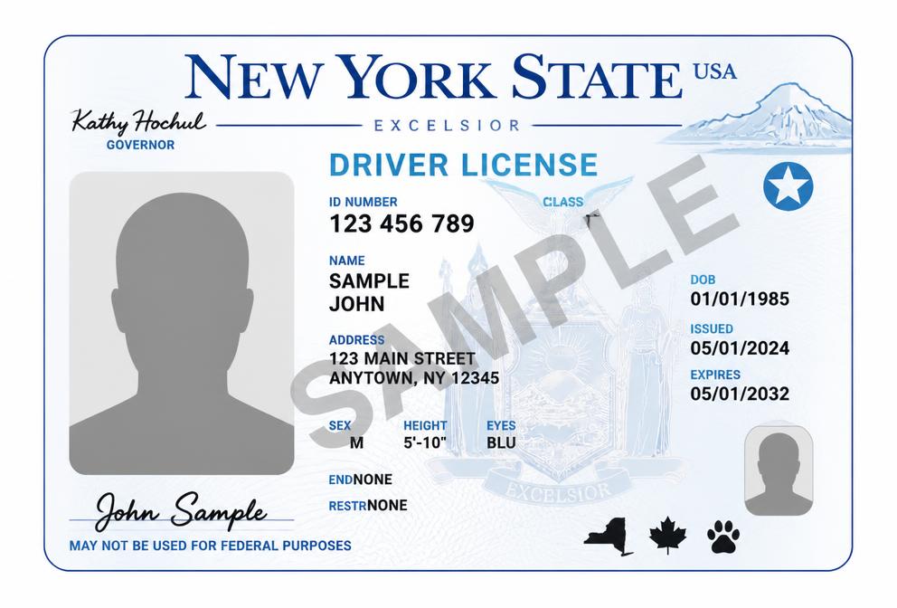Example of NYC DMV License